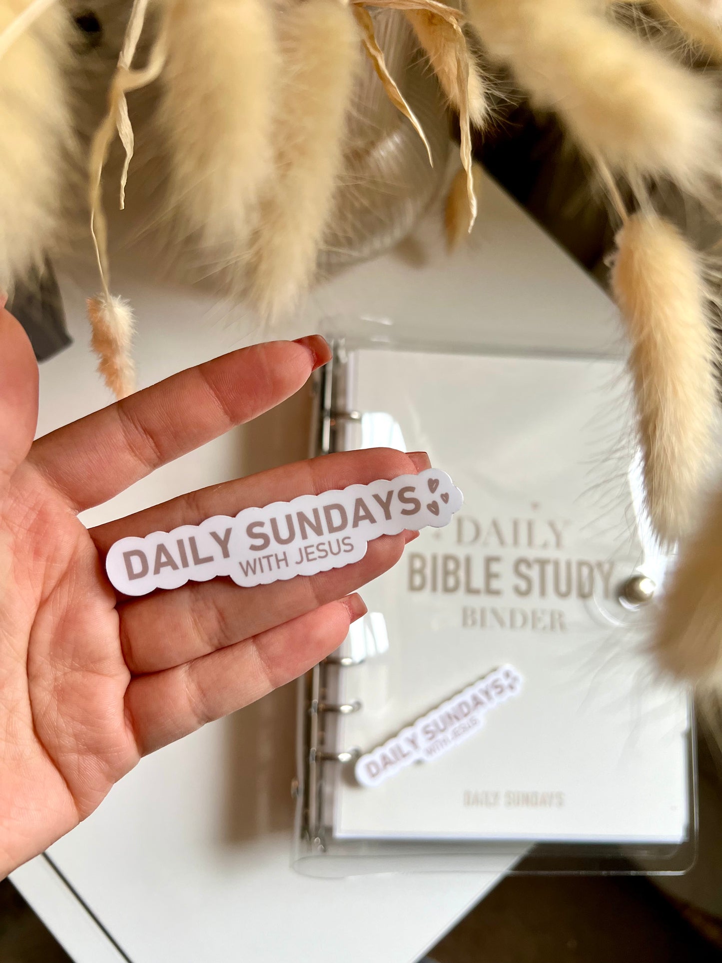 Daily Sundays With Jesus Sticker